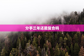 分手三年还能复合吗