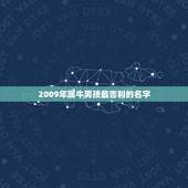 2009年属牛男孩最吉利的名字(如何选择)