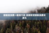 限制高消费一般是几年 法律规定限制消费令多久
