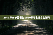 2019年65岁养老金 2020养老金还会上涨吗