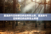 属龙的今日和明日的运势怎么样，属龙的今日和明日的运势怎么样呀