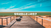 句句说到心坎上的句子