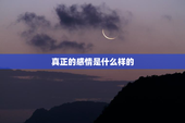 真正的感情是什么样的