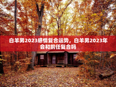 白羊男2023感情复合运势，白羊男2023年会和前任复合吗