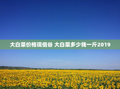 大白菜价格现低谷 大白菜多少钱一斤2019