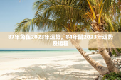 87年兔在2023年运势，84年鼠2023年运势及运程