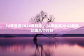 74年属虎2023年财运，74年属虎2023年财运哪几个月好