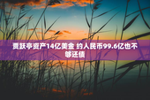 贾跃亭资产14亿美金 约人民币99.6亿也不够还债
