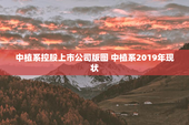 中植系控股上市公司版图 中植系2019年现状