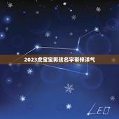 2023虎宝宝男孩名字带梓洋气(如何选择名字)