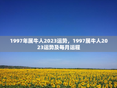 1997年属牛人2023运势，1997属牛人2023运势及每月运程