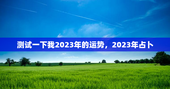 测试一下我2023年的运势，2023年占卜