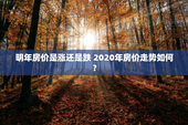 明年房价是涨还是跌 2020年房价走势如何？