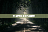 1987兔命里有几段婚姻，1987兔命里有几段婚姻是女生