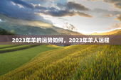 2023年羊的运势如何，2023年羊人运程