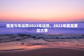 属龙今年运势2023年运势，2023年属龙要出大事
