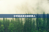 分手后还关注你的男人