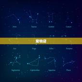 哪里有卖小狗的地方呢(寻找可爱的小狗宝宝)