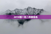 2019独一无二的微信名