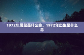 1972年属鼠是什么命，1972年出生是什么命