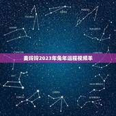 麦玲玲2023年兔年运程视频羊(解读麦玲玲的十二生肖运势)