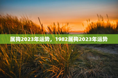 属狗2023年运势，1982属狗2023年运势