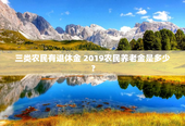 三类农民有退休金 2019农民养老金是多少？