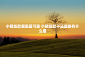 小额贷款哪里最可靠 小额贷款不还最终有什么后