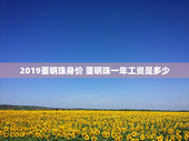 2019董明珠身价 董明珠一年工资是多少