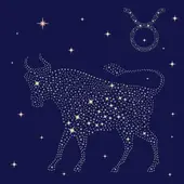 金牛座动心的15个迹象：从细节到行为全解析