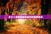 多少人曾爱慕你年轻时的容颜歌词