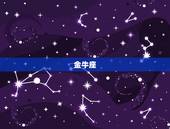 最有女人味的金星星座(介绍哪个星座魅力)