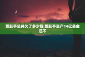 贾跃亭总共欠了多少钱 贾跃亭资产14亿美金还不