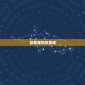 巨蟹星座和什么星座配(星座组合大介绍)