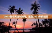 2023鼠今天运气如何，鼠在2023年的运势
