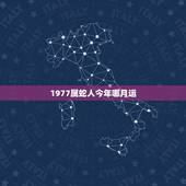 1977属蛇人今年哪月运(星象指引财运亨通)
