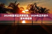2020年鼠年正月男宝宝，2020年正月初六鼠年幸福早