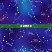 家里好多老鼠什么预兆(如何判断家中老鼠数量是否过多)