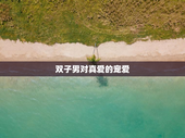 双子男对真爱的宠爱