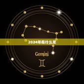 2024年属于什么龙(介绍2024年是哪一种龙)
