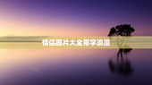 情侣图片大全带字浪漫