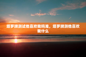 塔罗牌测试他喜欢我吗准，塔罗牌测他喜欢我什么
