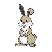 生肖兔女和蛇男合不合财(如何避免财务矛盾)