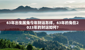 63年出生属兔今年财运怎样，63年的兔在2023年的财运如何？