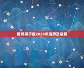 属鸡狮子座2023年运势及运程(狮子之魂腾飞鸡年大展宏图)