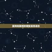 属狗和属狗的婚配好吗(讨论是否适合选择同属狗的伴侣)