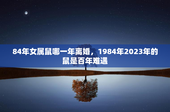 84年女属鼠哪一年离婚，1984年2023年的鼠是百年难遇