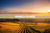 年利润三十万小作坊