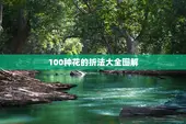 100种花的折法大全图解