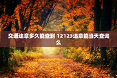交通违章多久能查到 12123违章能当天查询么